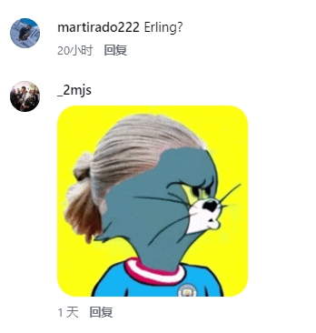 哈兰德本人下场认证“女版”走红:我同意😂 哈兰德本人下场认证“女版”走红:我同意😂