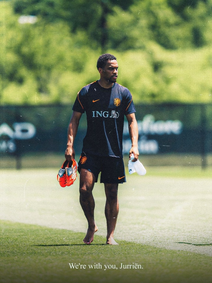 廷伯腹股沟伤势未愈无缘世界杯 荷兰补招海特勒伊达